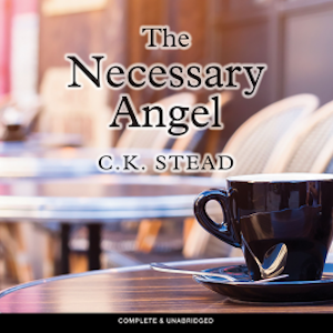 The Necessary Angel