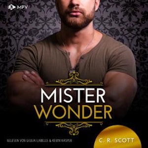 Mister Wonder - The Misters, Buch 6 (ungekürzt)