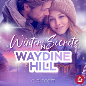 Winter Secrets in Waydine Hill, C. R. Scott