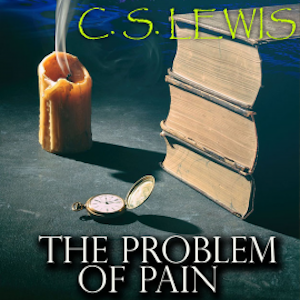 The Problem of Pain