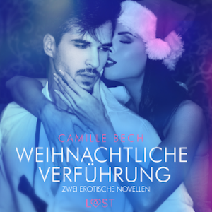 Weihnachtliche Verführung – Zwei erotische Novellen