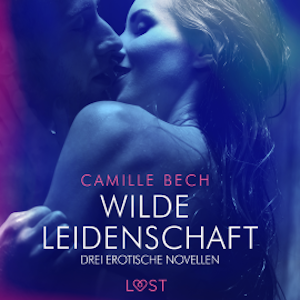 Wilde Leidenschaft – Drei erotische Novellen