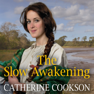 The Slow Awakening