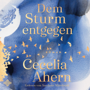 Dem Sturm entgegen audiobook, Cecelia Ahern