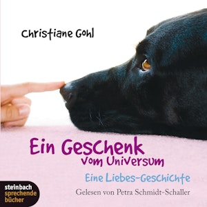 Ein Geschenk vom Universum - Eine Liebes-Geschichte