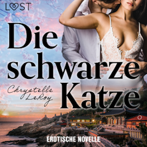 Die schwarze Katze - Erotische Novelle