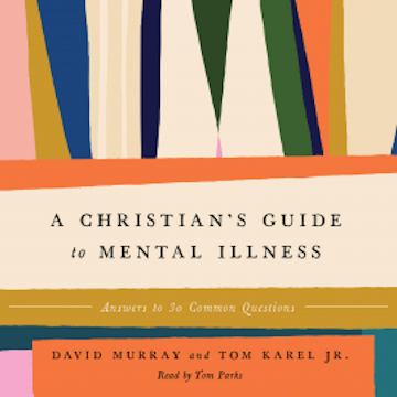 A Christian's Guide to Mental Illness