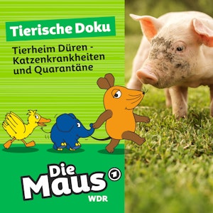 Die Maus, Tierische Doku, Folge 8: Tierheim Düren - Katzenkrankheiten und Quarantäne