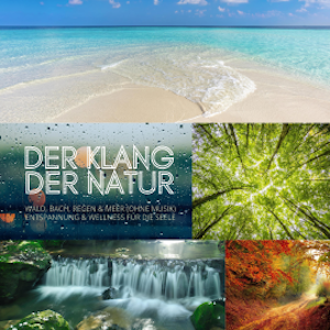 Der Klang der Natur - Wald, Bach, Regen & Meer (ohne Musik) - XXL-Bundle