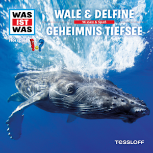 13: Wale & Delfine / Geheimnis Tiefsee