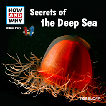 Secrets Of The Deep Sea