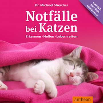 Notfälle bei Katzen