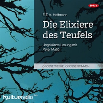 Die Elixiere des Teufels