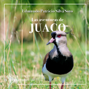 Las aventuras de Juaco