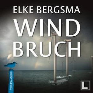 Windbruch - Büttner und Hasenkrug ermitteln, Band 1 (ungekürzt)