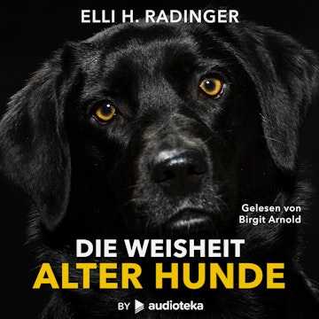 Die Weisheit alter Hunde