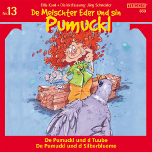 De Meischter Eder und sin Pumuckl, Nr. 13