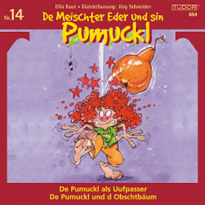 De Meischter Eder und sin Pumuckl, Nr. 14