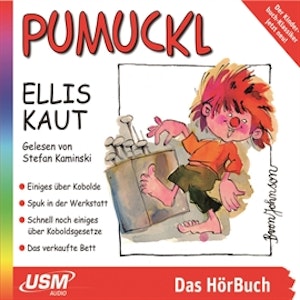 Einiges über Kobolde / Spuk in der Werkstatt (Pumuckl 1)