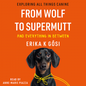 From Wolf to Supermutt and Everything In Between