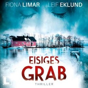 Eisiges Grab - Schwedenthriller, Band 6 (ungekürzt)