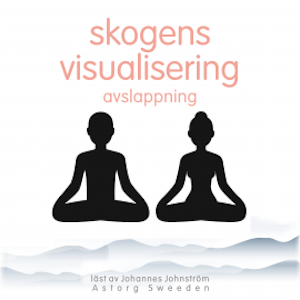 Skogvisualisering avkoppling