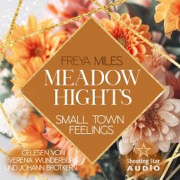 Meadow Hights: Small Town Feelings - New York Gentlemen, Band 10 (ungekürzt)
