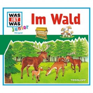 11: Im Wald