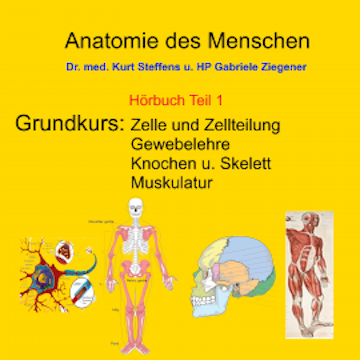 Anatomie des Menschen Teil 1