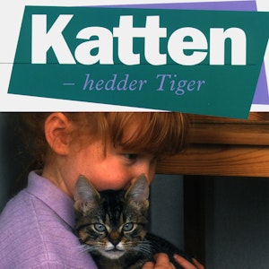 Katten - hedder Tiger