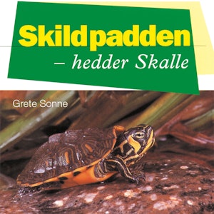 Skildpadden - hedder Skalle