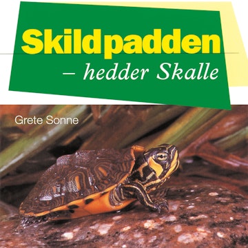 Skildpadden - hedder Skalle