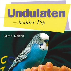 Undulaten - hedder Pip