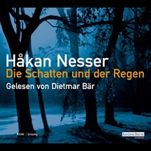 Die Schatten und der Regen