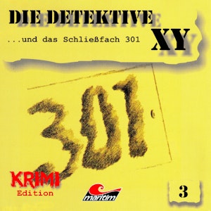 ...und das Schließfach 301 (Die Detektive XY 3)