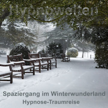 Spaziergang im Winterwunderland