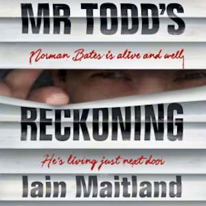 Mr Todd's Reckoning