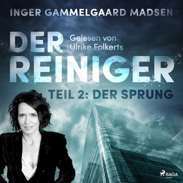 Der Sprung (Der Reiniger 2)