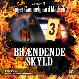 Afsnit 3 - Brændende skyld 3