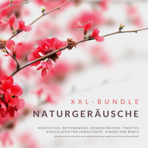 XXL-Bundle: Naturgeräusche