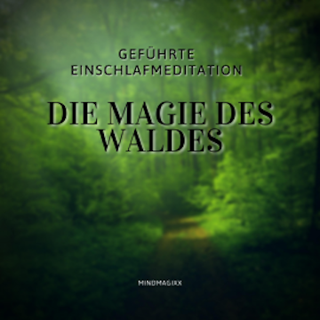 Geführte Einschlafmeditation / Einschlafhilfe / Hörbuch zum Einschlafen