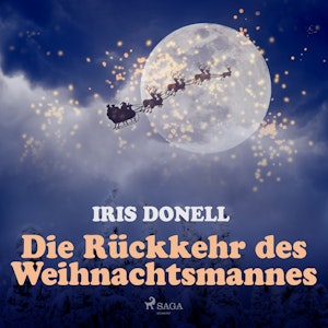 Die Rückkehr des Weihnachtsmannes