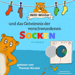 Willi Winter und das Geheimnis der verschwundenen Socken