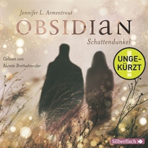 Schattendunkel (Obsidian 1)