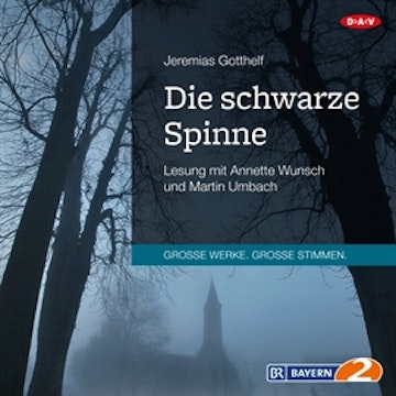 Die schwarze Spinne