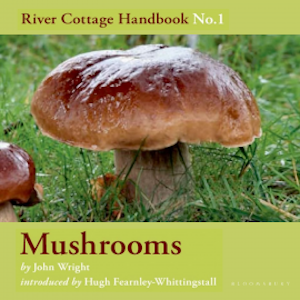 Mushrooms, John Wright