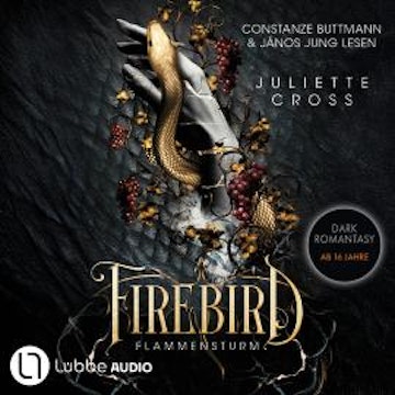 Firebird - Flammensturm, Teil 1 (Ungekürzt) audiobook, Juliette Cross