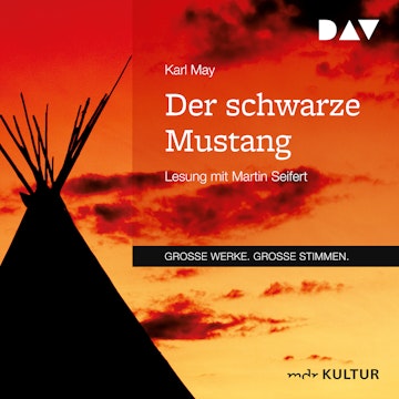 Der schwarze Mustang