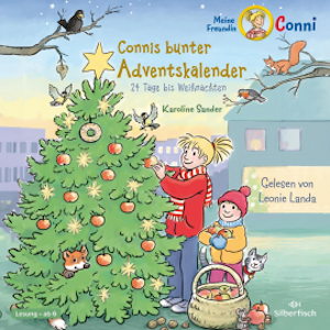 Connis bunter Adventskalender (Meine Freundin Conni - ab 6)