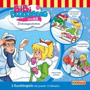 Bibi Blocksberg, Bibi erzählt, Folge 13: Schneegeschichten